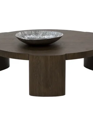 Affordable Alouette 48 X 15 inch Distressed Brown Coffee Table